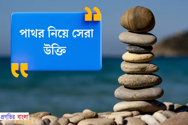 পাথর নিয়ে উক্তি