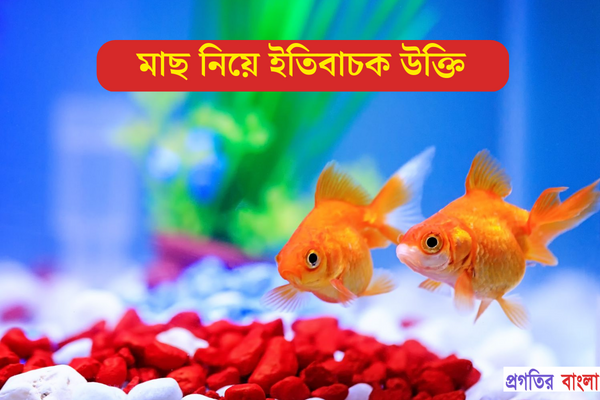 মাছ নিয়ে ইতিবাচক উক্তি