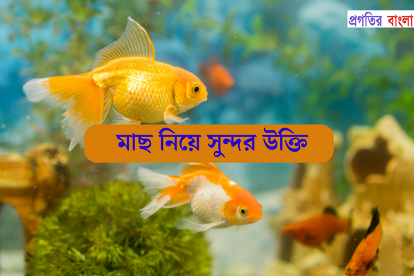 মাছ নিয়ে সুন্দর উক্তি