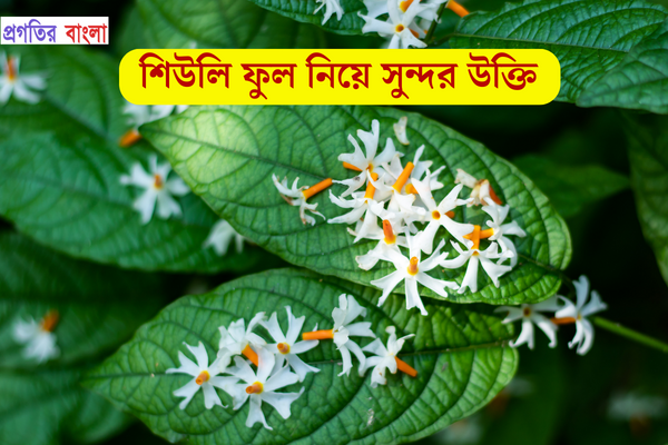 শিউলি ফুল নিয়ে সুন্দর উক্তি