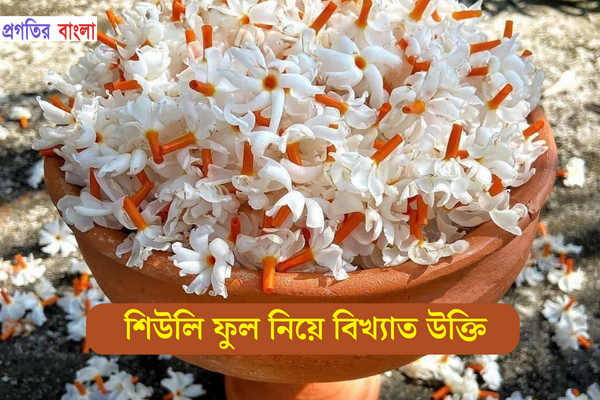 শিউলি ফুল নিয়ে বিখ্যাত উক্তি