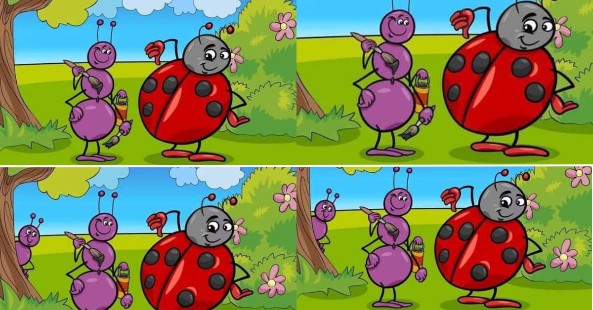 স্পট দ্য ডিফারেন্স