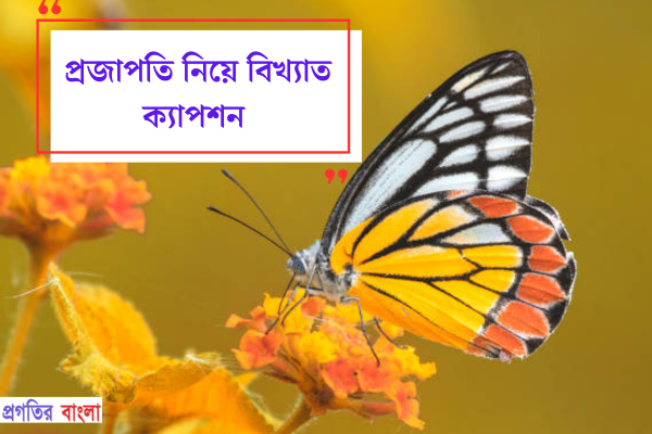 প্রজাপতি নিয়ে বিখ্যাত ক্যাপশন