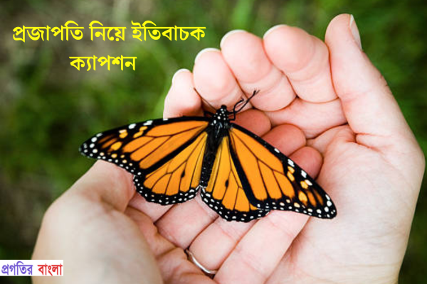 প্রজাপতি নিয়ে ইতিবাচক ক্যাপশন