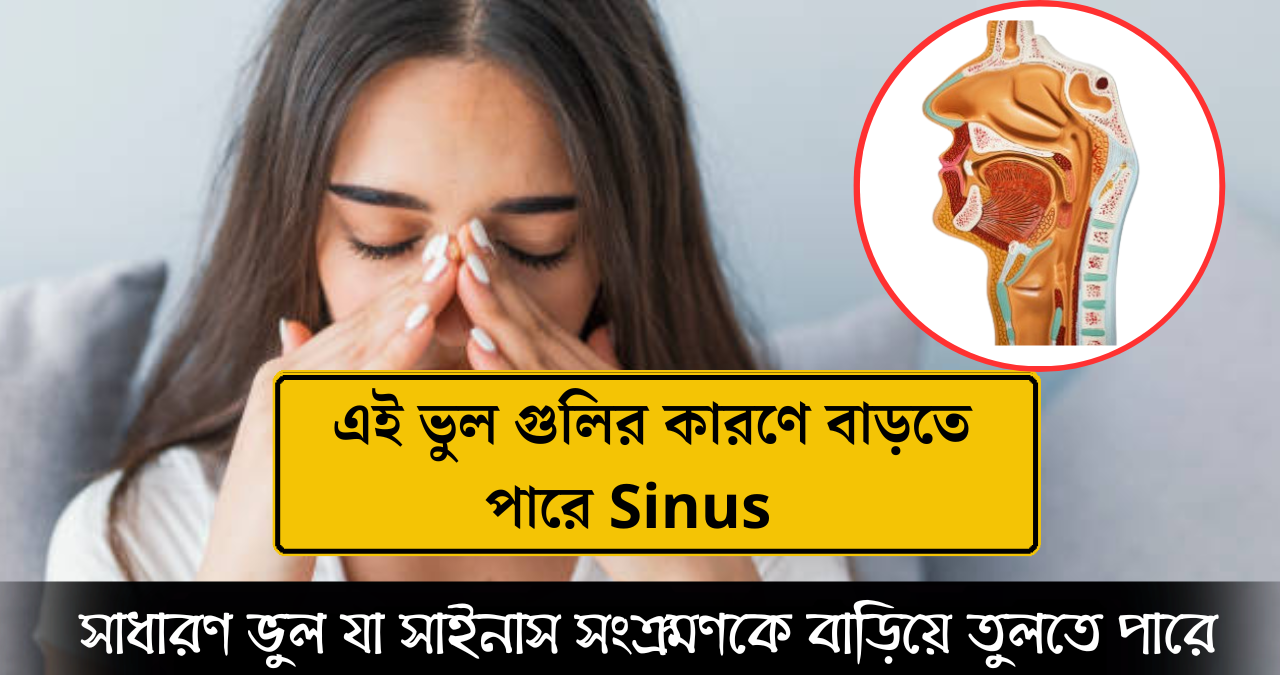 সাইনাস