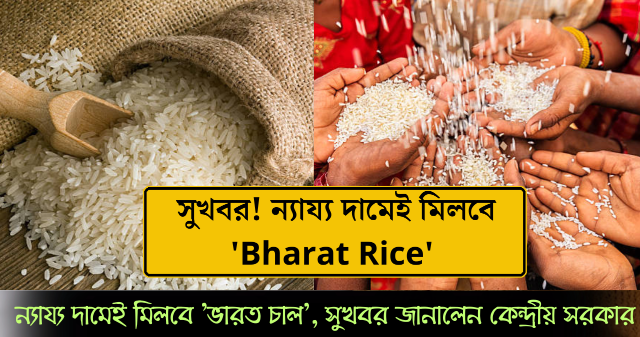 চাল