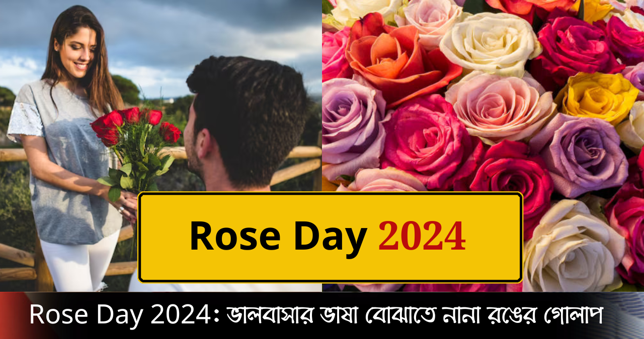 গোলাপ