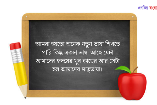 আন্তর্জাতিক মাতৃভাষা দিবসের মেসেজ 