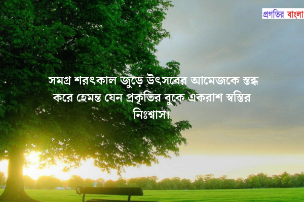 সমগ্র শরৎকাল জুড়ে উৎসবের আমেজকে স্তব্ধ করে হেমন্ত যেন প্রকৃতির বুকে একরাশ স্বস্তির নিঃশ্বাস।