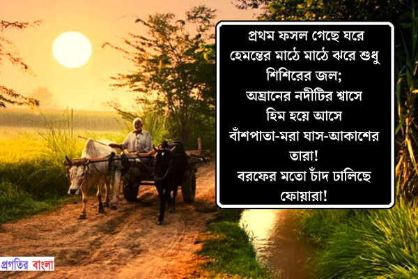 হেমন্তকাল নিয়ে উক্তি