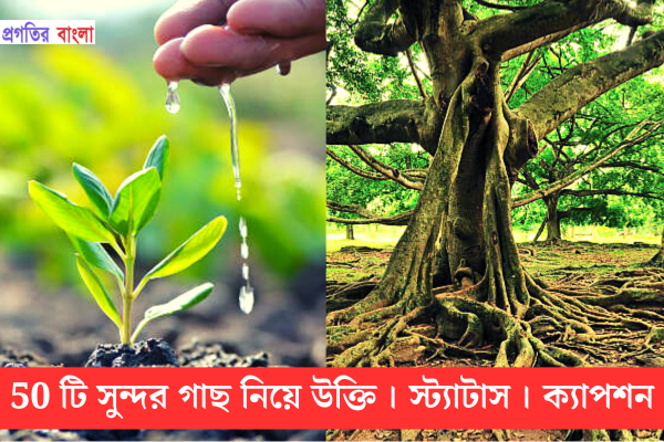  গাছ নিয়ে উক্তি