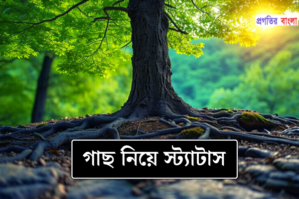 গাছ নিয়ে স্ট্যাটাস