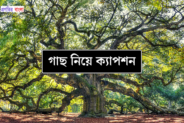 গাছ নিয়ে ক্যাপশন