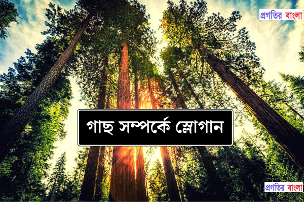  গাছ নিয়ে উক্তি 