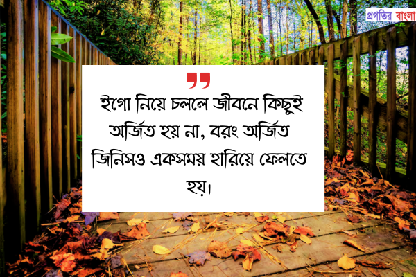 ইগো নিয়ে চললে জীবনে কিছুই অর্জিত হয় না, বরং অর্জিত জিনিসও একসময় হারিয়ে ফেলতে হয়।