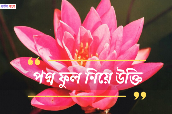 পদ্ম ফুল নিয়ে উক্তি 