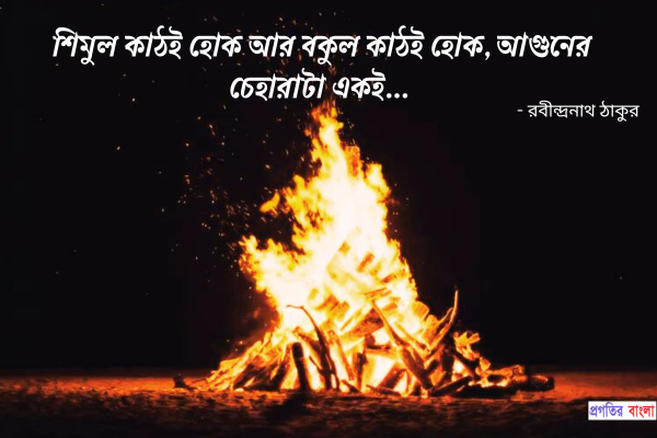 আগুন নিয়ে উক্তি