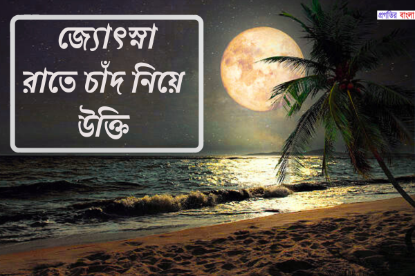 জ্যোৎস্না রাতে চাঁদ নিয়ে উক্তি