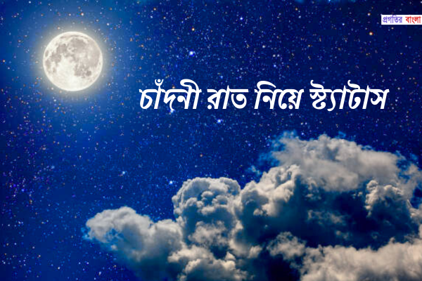 চাঁদনী রাত নিয়ে স্ট্যাটাস
