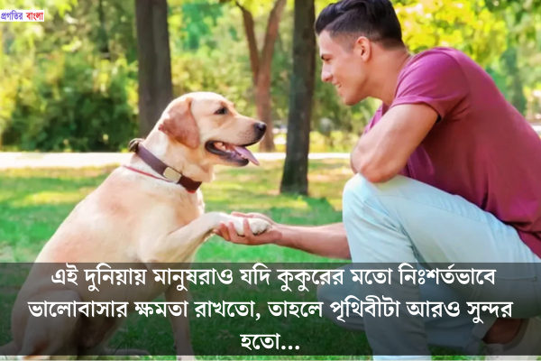কুকুর নিয়ে উক্তি