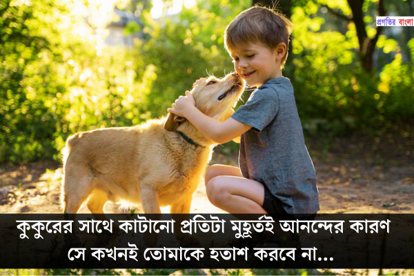 কুকুর নিয়ে উক্তি