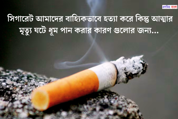 সিগারেট নিয়ে উক্তি