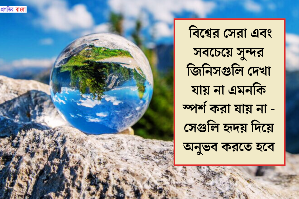 পৃথিবী নিয়ে উক্তি