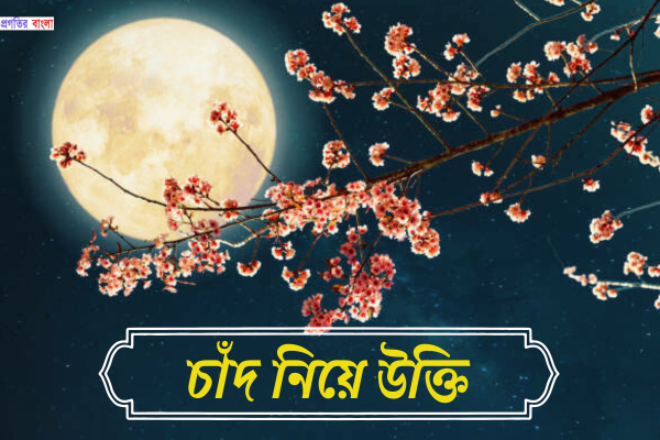চাঁদ নিয়ে উক্তি
