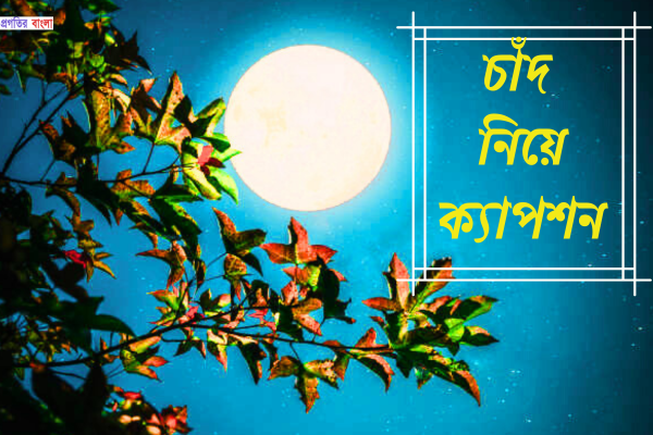 চাঁদ নিয়ে ক্যাপশন