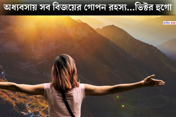 অধ্যবসায় নিয়ে ইতিবাচক উক্তি
