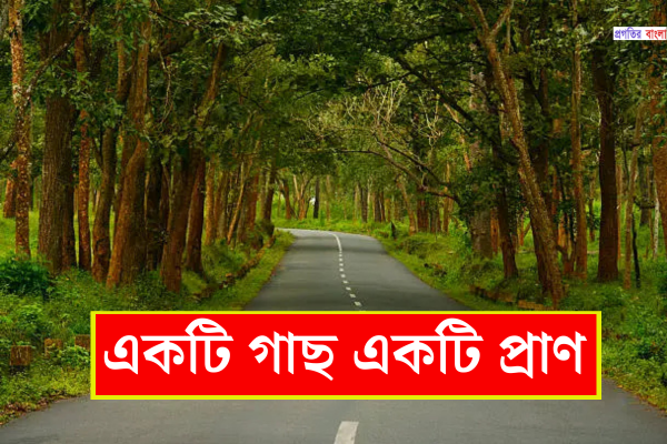 গাছ নিয়ে উক্তি