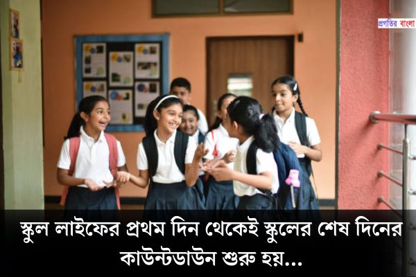 স্কুলজীবন নিয়ে সেরা উক্তি