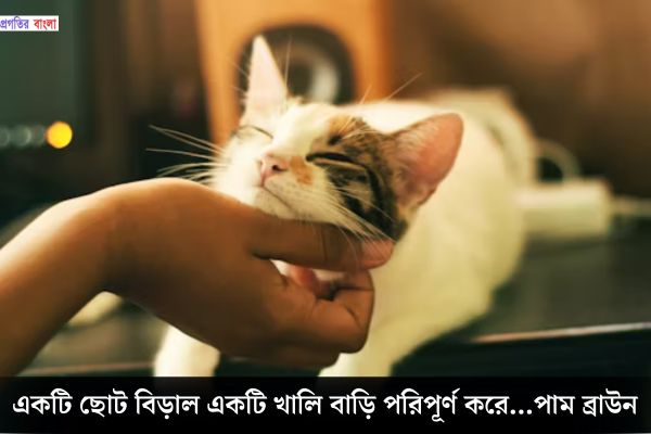 বিড়াল নিয়ে অনুপ্রেরণামূলক উক্তি