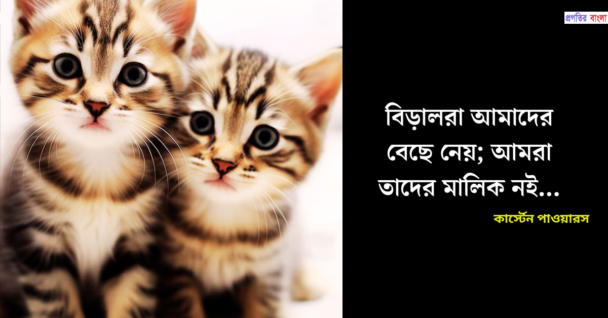 বিড়াল নিয়ে বিখ্যাত উক্তি
