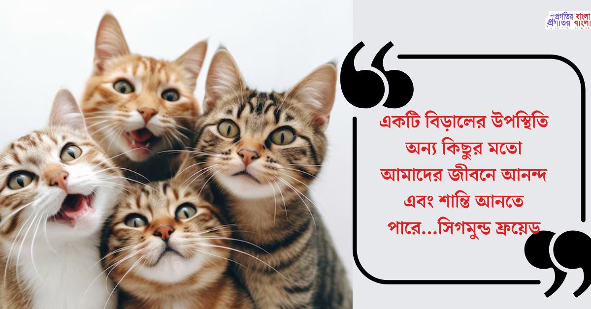 বিড়াল নিয়ে সুন্দর উক্তি