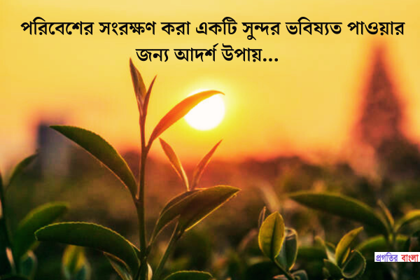 পরিবেশ নিয়ে উক্তি