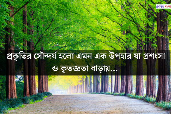 পরিবেশ নিয়ে উক্তি