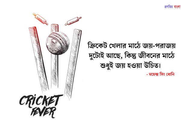 ক্রিকেট নিয়ে উক্তি