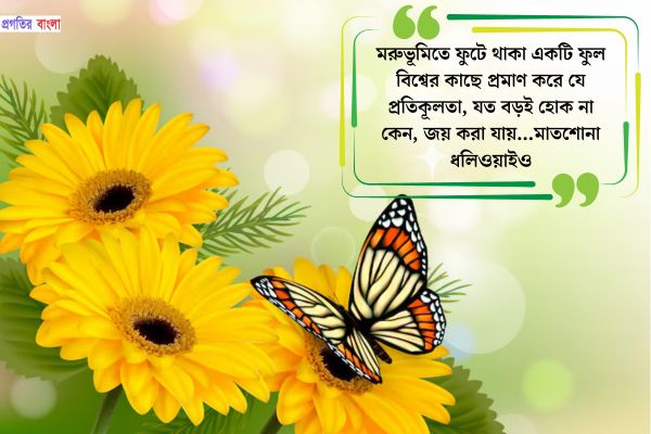 ফুল নিয়ে বিখ্যাত উক্তি
