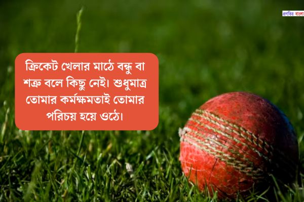 ক্রিকেট নিয়ে ক্যাপশন