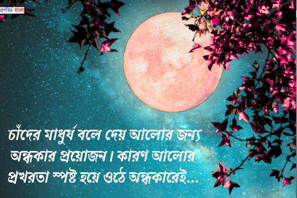 জ্যোৎস্না রাতে চাঁদ নিয়ে উক্তি