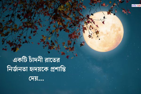 চাঁদ নিয়ে উক্তি