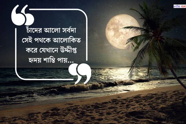জ্যোৎস্না রাতে চাঁদ নিয়ে উক্তি