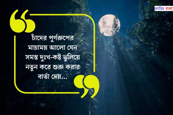 জ্যোৎস্না রাতে চাঁদ নিয়ে উক্তি