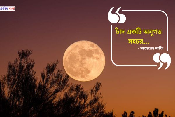 চাঁদনী রাত নিয়ে স্ট্যাটাস