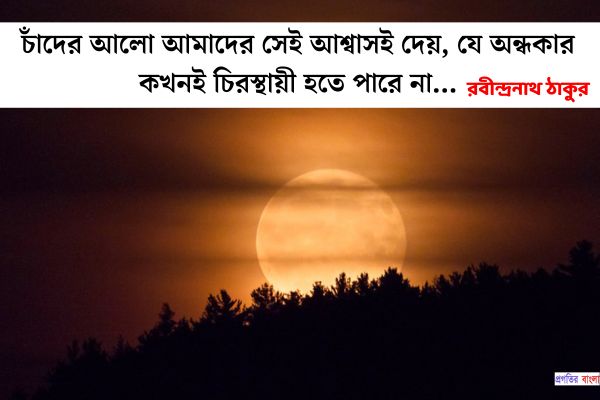 চাঁদনী রাত নিয়ে স্ট্যাটাস