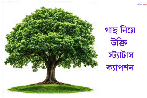 গাছ নিয়ে উক্তি