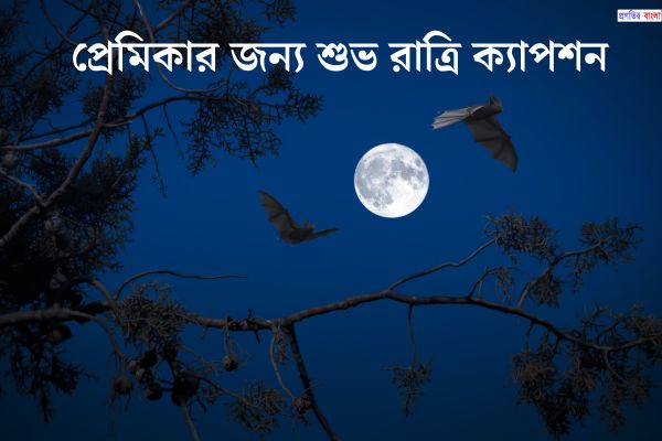প্রেমিকার জন্য শুভ রাত্রি ক্যাপশন