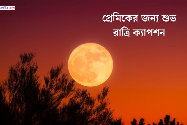 প্রেমিকের জন্য শুভ রাত্রি ক্যাপশন