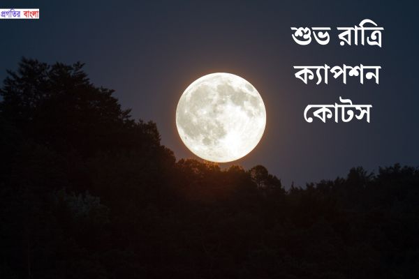 শুভ রাত্রি ক্যাপশন কোটস